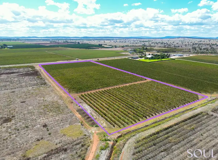 Third view of Homely land listing, LOT 183, 296 McCarthy Road, Lake Wyangan NSW 2680