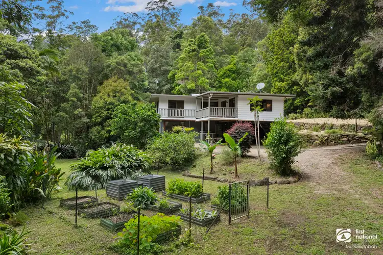 2038 Numinbah Road, Numinbah NSW 2484