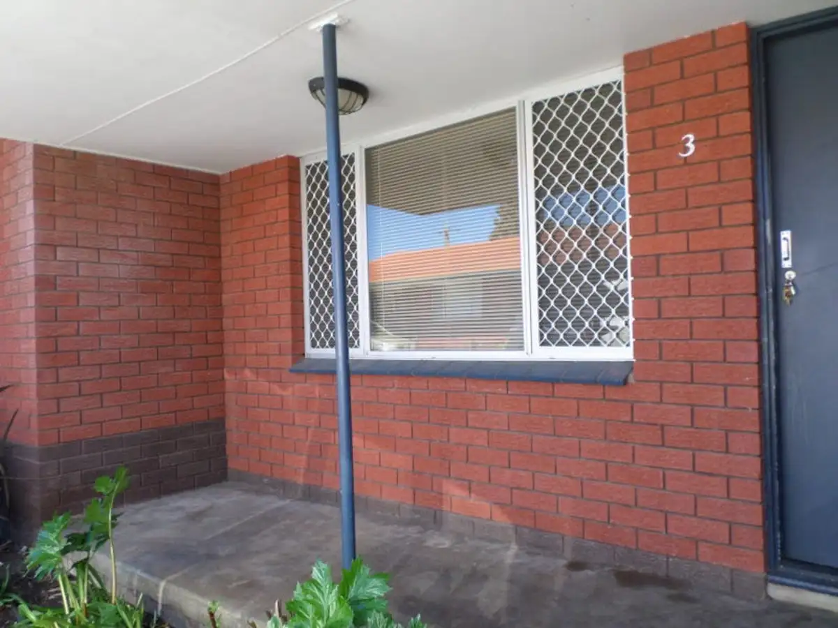 Main view of Homely unit listing, Unit 3/38 Collier Street, Manjimup WA 6258