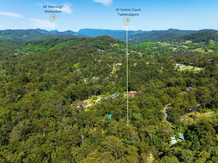 Sixth view of Homely land listing, 41 Goline Court, Tallebudgera QLD 4228