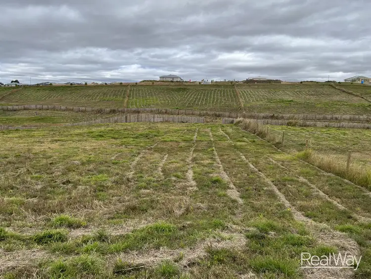 Main view of Homely land listing, LOT 41, 60 Caffery Drive, Haigslea QLD 4306