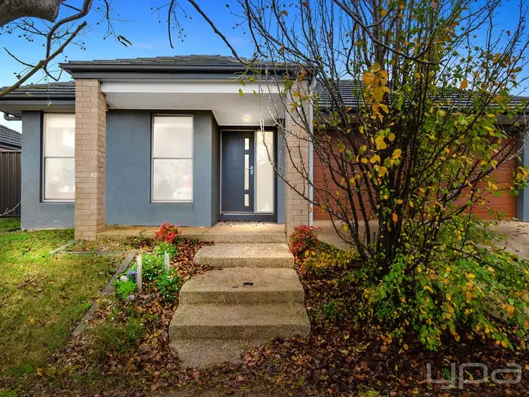 20 Avebury Drive, Cobblebank VIC 3338