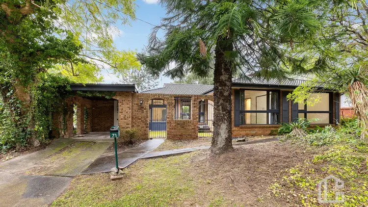 Main view of Homely house listing, 71 Raymond Road, Springwood NSW 2777