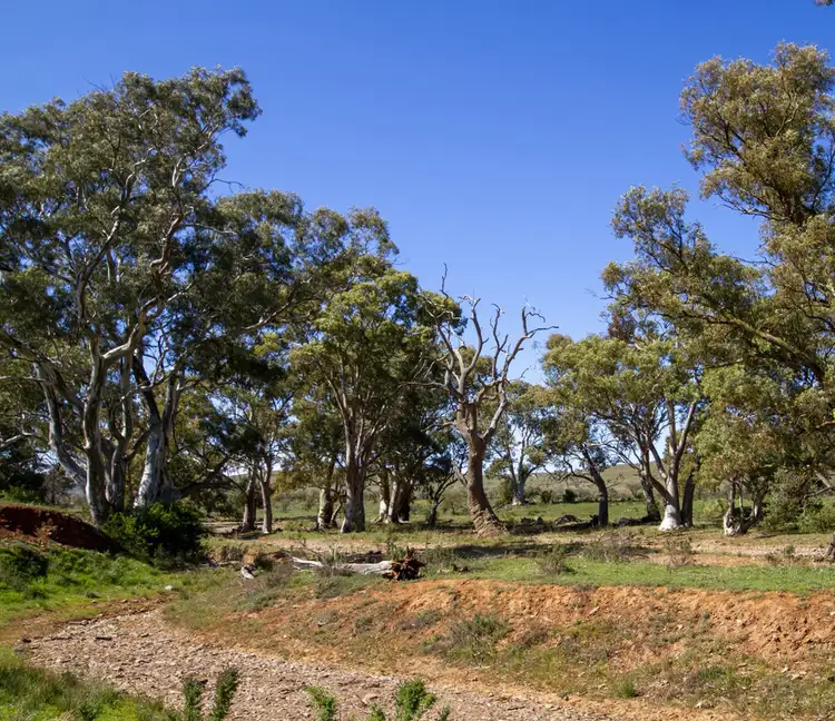 Fifth view of Homely land listing, LOT 5 and 12 Main Street, Carrieton SA 5432