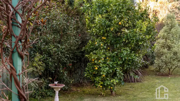 Third view of Homely house listing, 19 Lamartine Avenue, Wentworth Falls NSW 2782