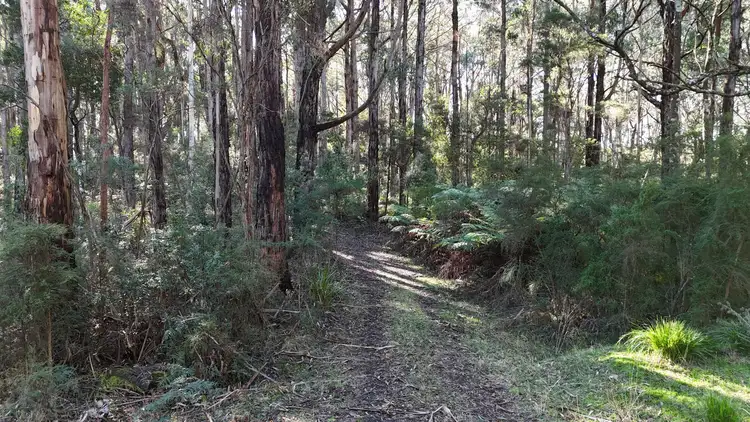Second view of Homely rural property listing, 318 Old Ocean Road, Glenaire VIC 3238