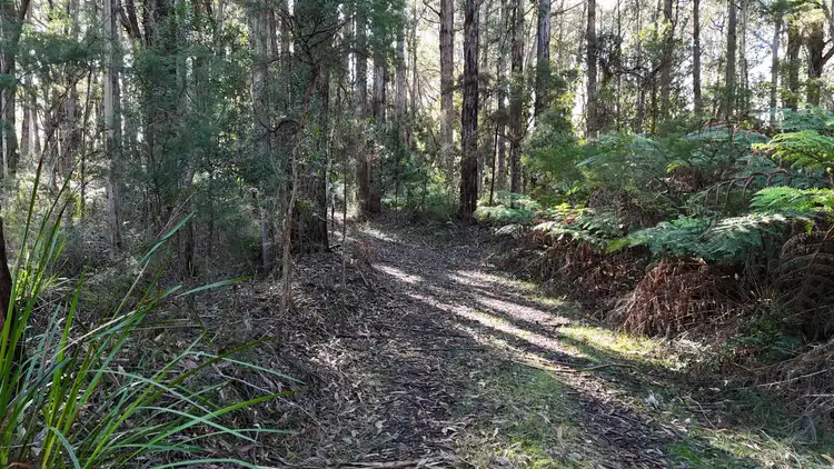Third view of Homely rural property listing, 318 Old Ocean Road, Glenaire VIC 3238