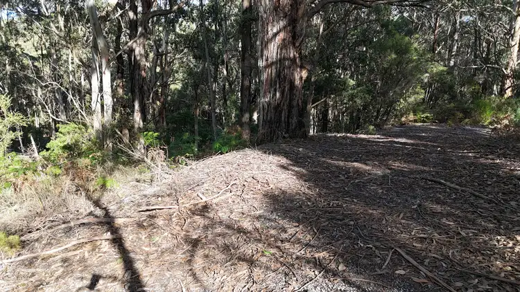 Fourth view of Homely rural property listing, 318 Old Ocean Road, Glenaire VIC 3238