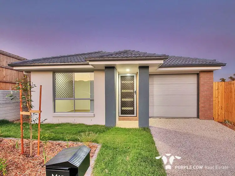 19 Wylie Court, Springfield Lakes QLD 4300