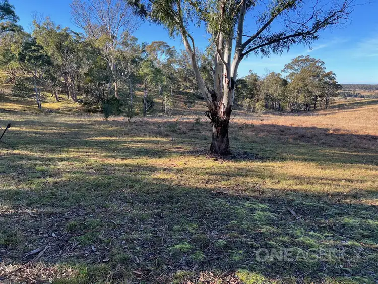 Fifth view of Homely rural property listing, 67 Sawpit Lane, Bungonia NSW 2580