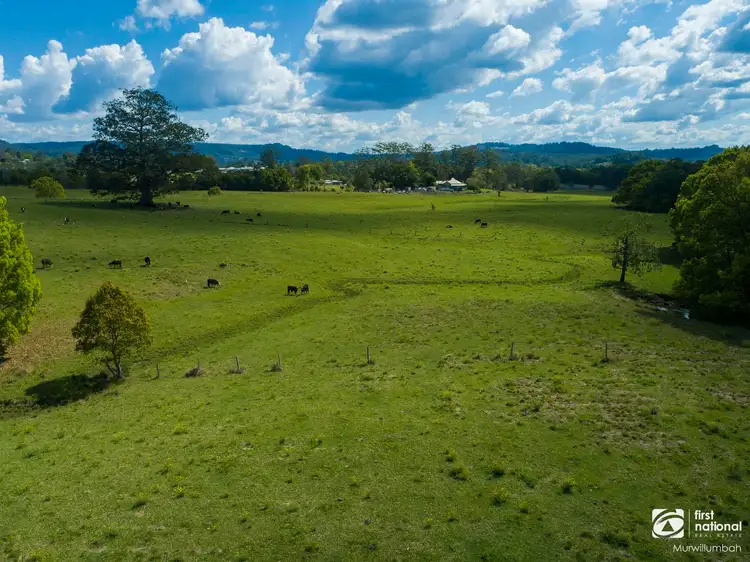 Third view of Homely rural property listing, 75 Tuntable Falls Road, Nimbin NSW 2480