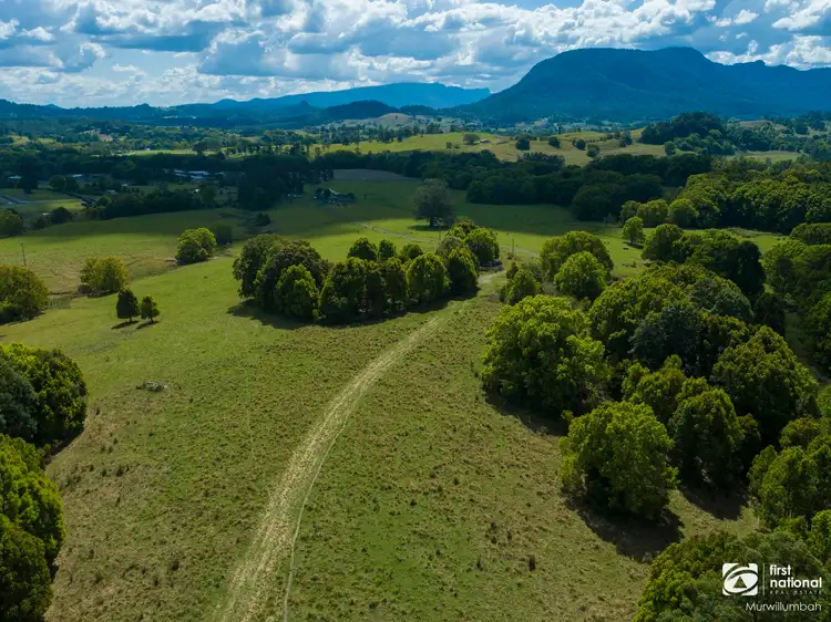 Fifth view of Homely rural property listing, 75 Tuntable Falls Road, Nimbin NSW 2480