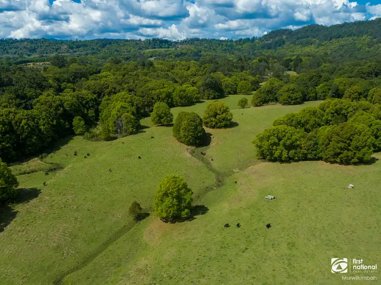 Sixth view of Homely rural property listing, 75 Tuntable Falls Road, Nimbin NSW 2480