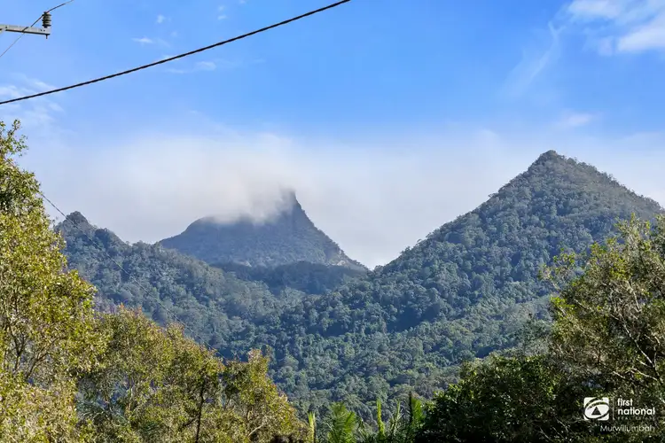 Fifth view of Homely house listing, 16 Mitchell Street, Uki NSW 2484