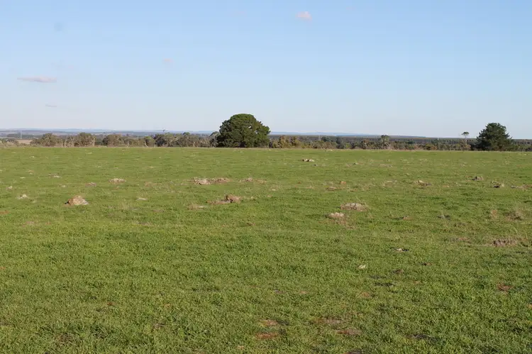 Third view of Homely rural property listing, 2103 Princes Highway, Stonyford VIC 3260