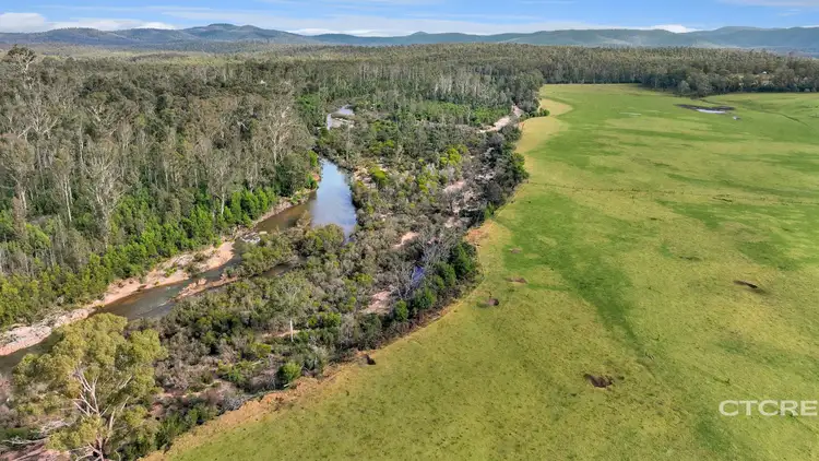 1664 Wangarabell Road, Wangarabell VIC 3891