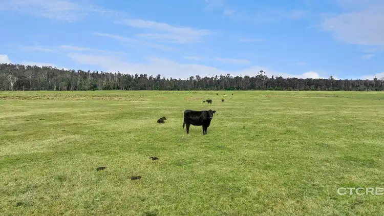 1664 Wangarabell Road, Wangarabell VIC 3891
