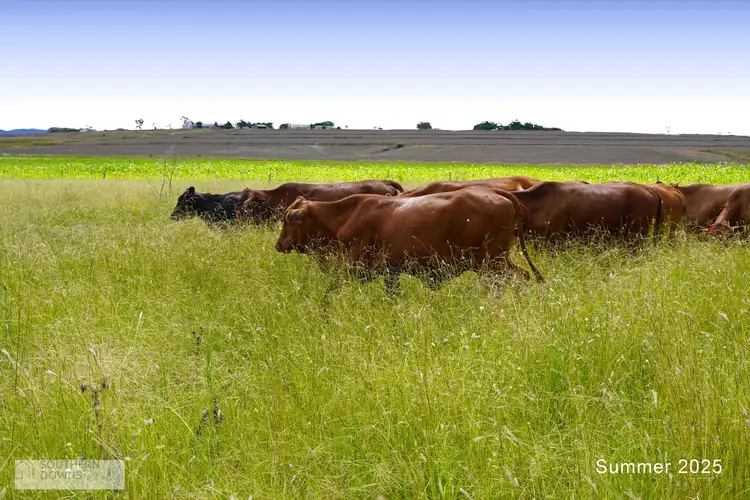 Third view of Homely rural property listing, LOT 14 Armbruster Road, Junabee QLD 4370
