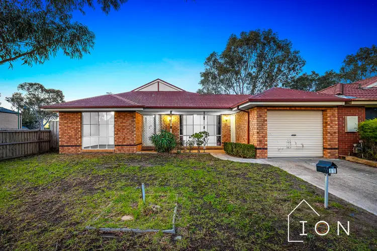 Main view of Homely house listing, 11 Dutton Close, Lynbrook VIC 3975