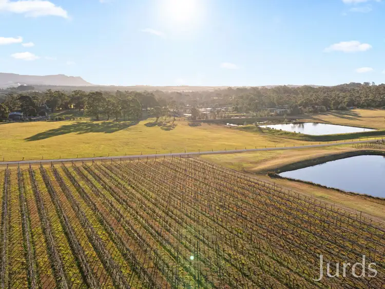 Fourth view of Homely rural property listing, 168 Lomas Lane, Nulkaba NSW 2325