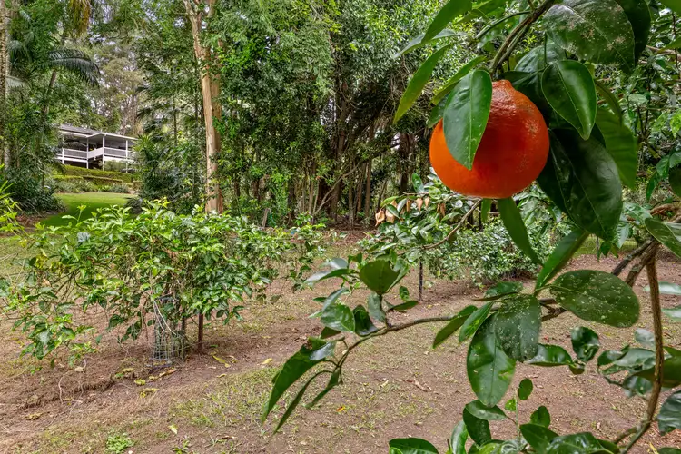 Fourth view of Homely house listing, 249 Connection Road, Glenview QLD 4553