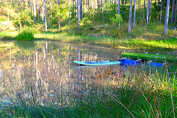 917 Old Lawrence Road, Deep Creek NSW 2469