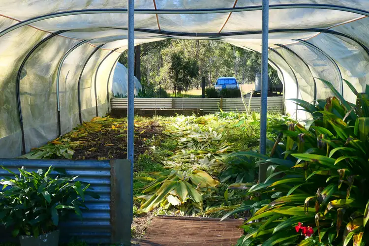 Sixth view of Homely rural property listing, 917 Old Lawrence Road, Deep Creek NSW 2469