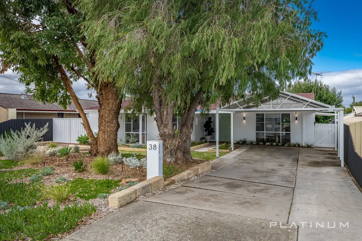 Main view of Homely house listing, 38 Mario Way, Craigie WA 6025