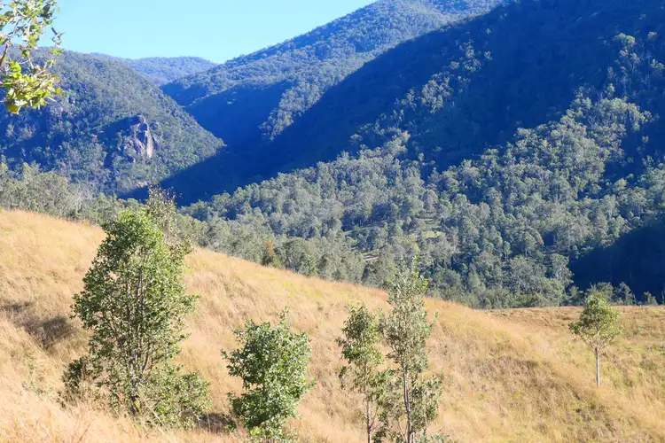 Seventh view of Homely rural property listing, LOT 12, 3276 Rocky River Road, Rocky River NSW 2372