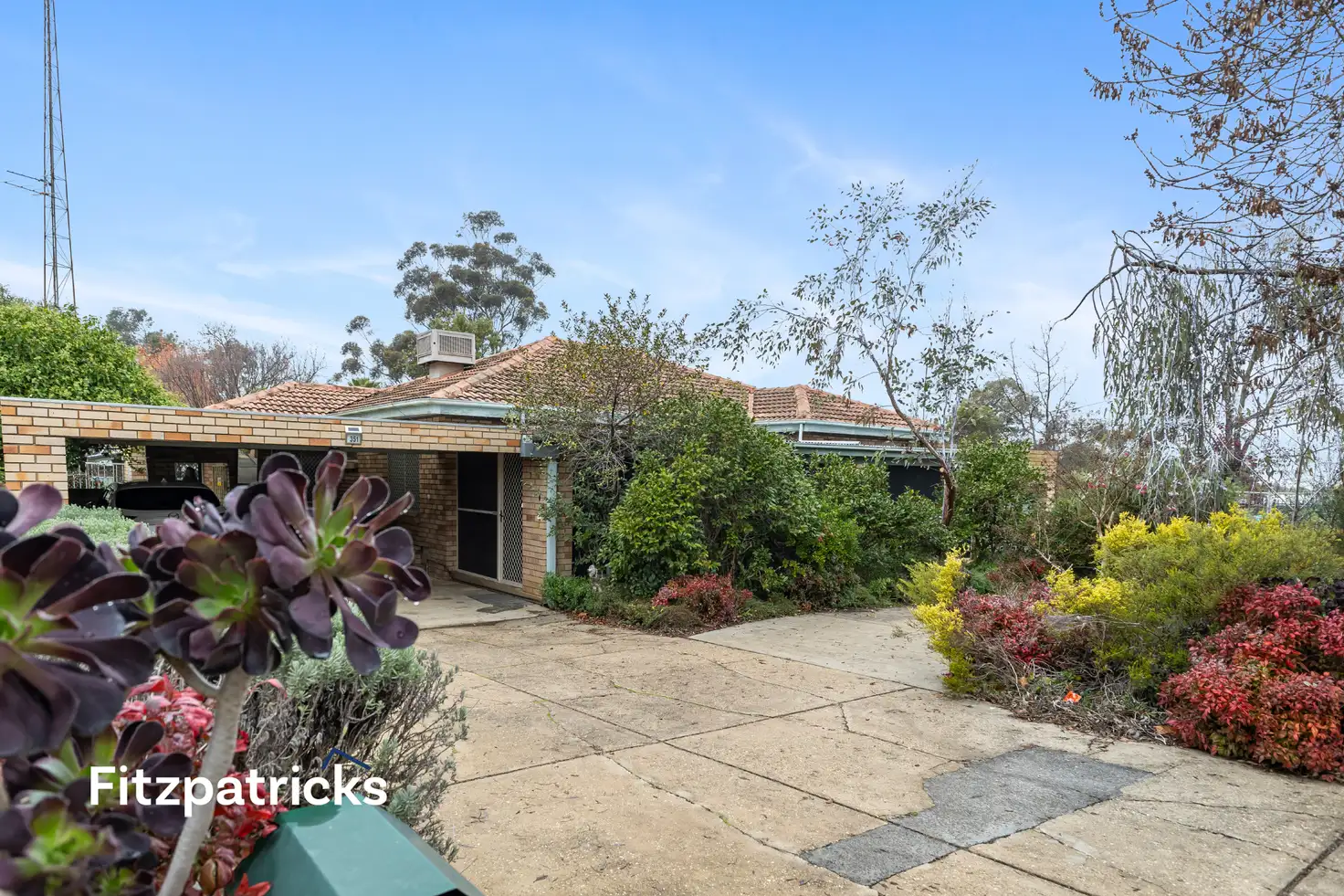 Main view of Homely house listing, 351 Lake Albert Road, Kooringal NSW 2650