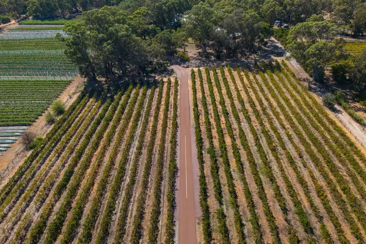 Sixth view of Homely rural property listing, 1868 Wanneroo Road, Neerabup WA 6031