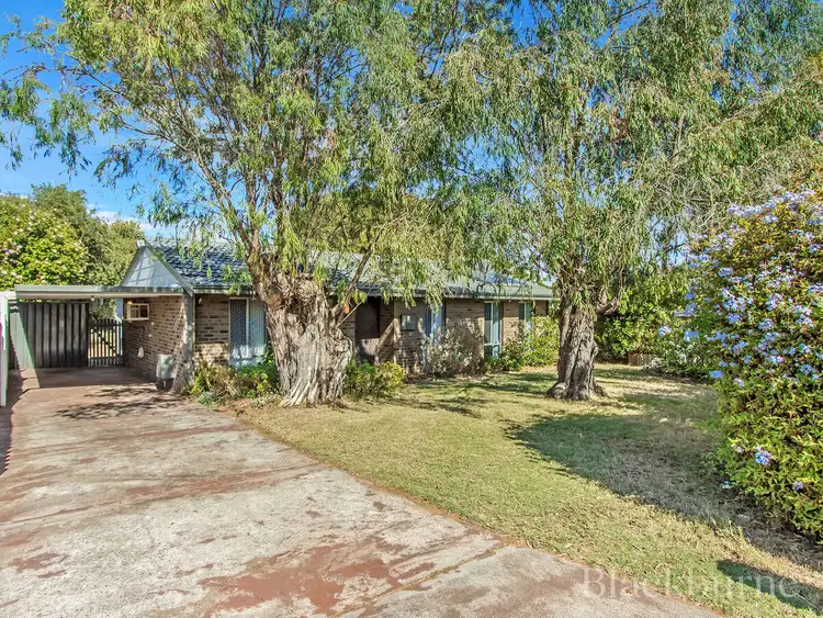 Fifth view of Homely house listing, 15 Corring Way, Parmelia WA 6167