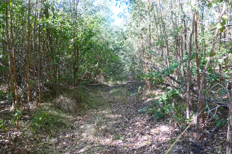 Seventh view of Homely rural property listing, 70 Grand View Road, Ewingar NSW 2469