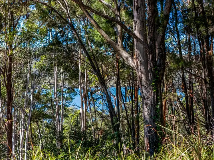 Third view of Homely land listing, 129 Wahine Drive, Russell Island QLD 4184