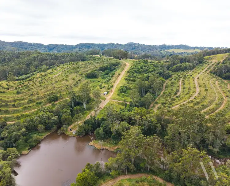 136 Top Forestry Road