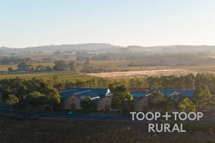 Third view of Homely rural property listing, 87 Sir Condor Laucke Way, Greenock SA 5360
