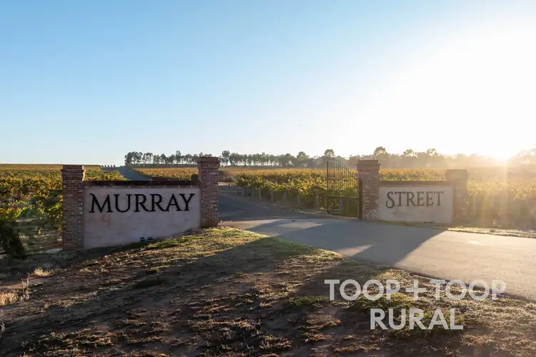 Fifth view of Homely rural property listing, 87 Sir Condor Laucke Way, Greenock SA 5360