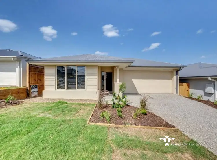 53 Dubai Circuit, Spring Mountain QLD 4300