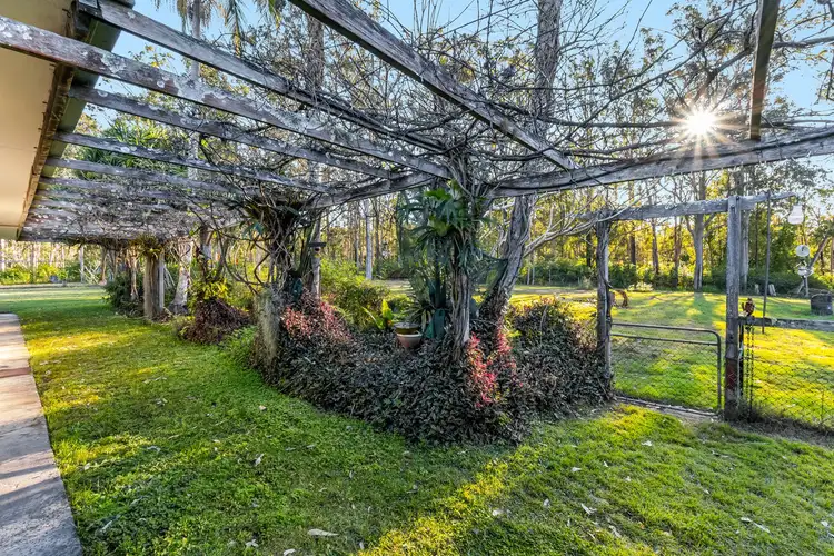 Third view of Homely rural property listing, 1170 Mongogarie Road, Mongogarie NSW 2470