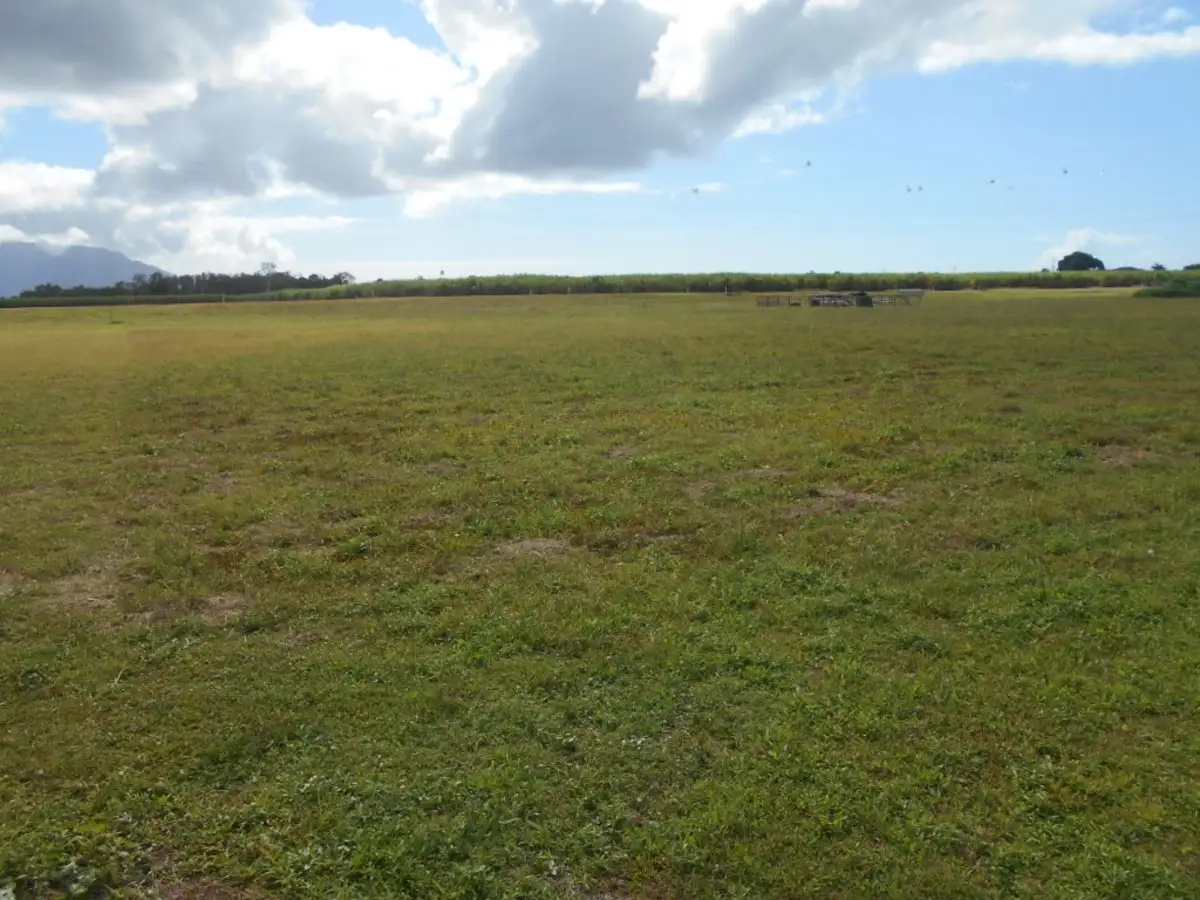 Main view of Homely land listing, 11 Riverdowns Drive, Halifax QLD 4850