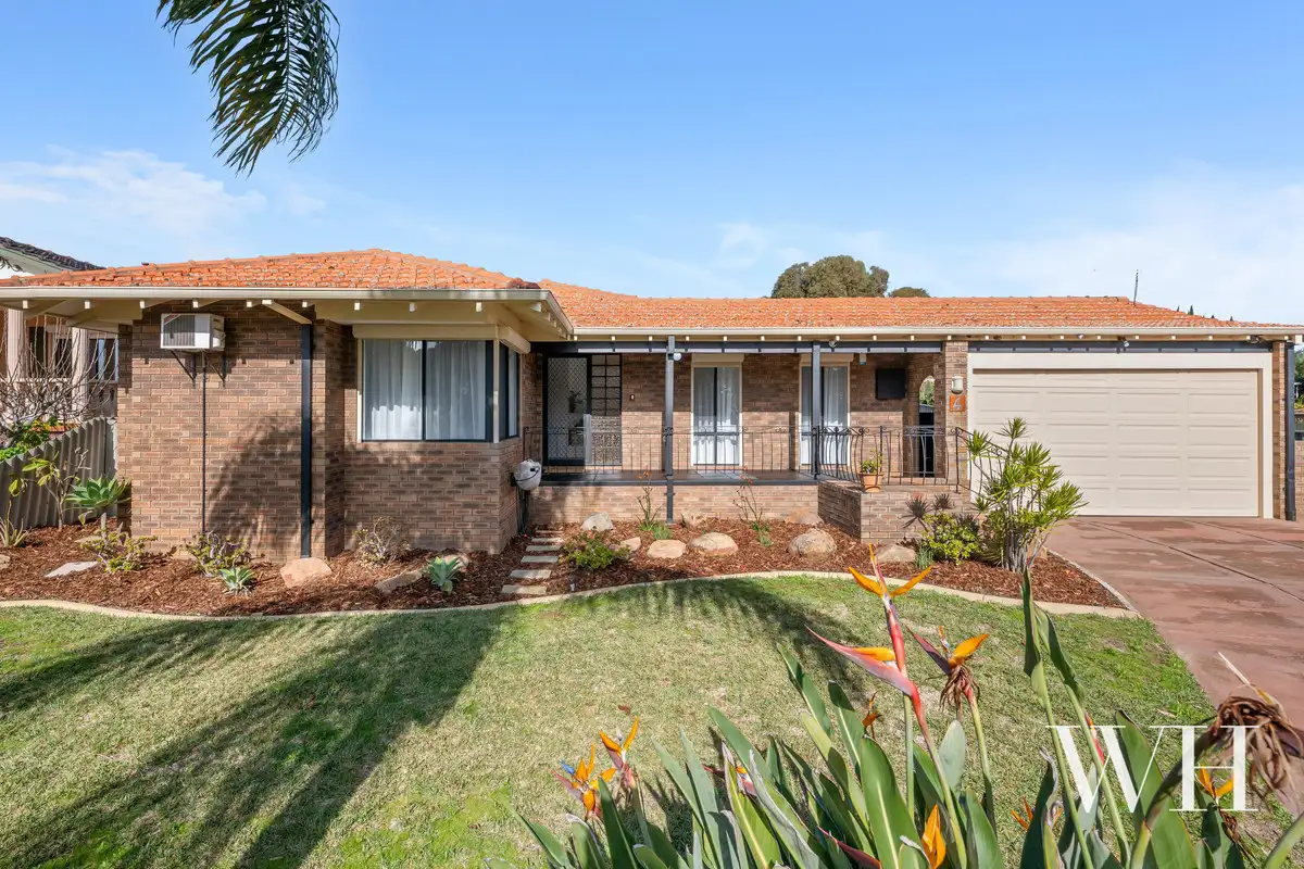 Main view of Homely house listing, 4 Passey Place, Kardinya WA 6163