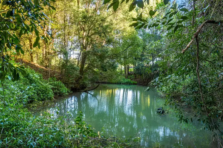 Fourth view of Homely house listing, 737 Fernleigh Road, Brooklet NSW 2479