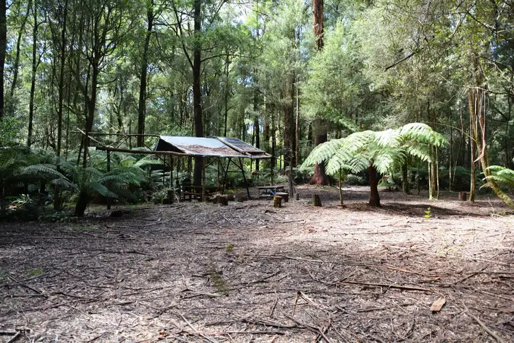 Fifth view of Homely rural property listing, 470 Phillips Track, Weeaproinah VIC 3237