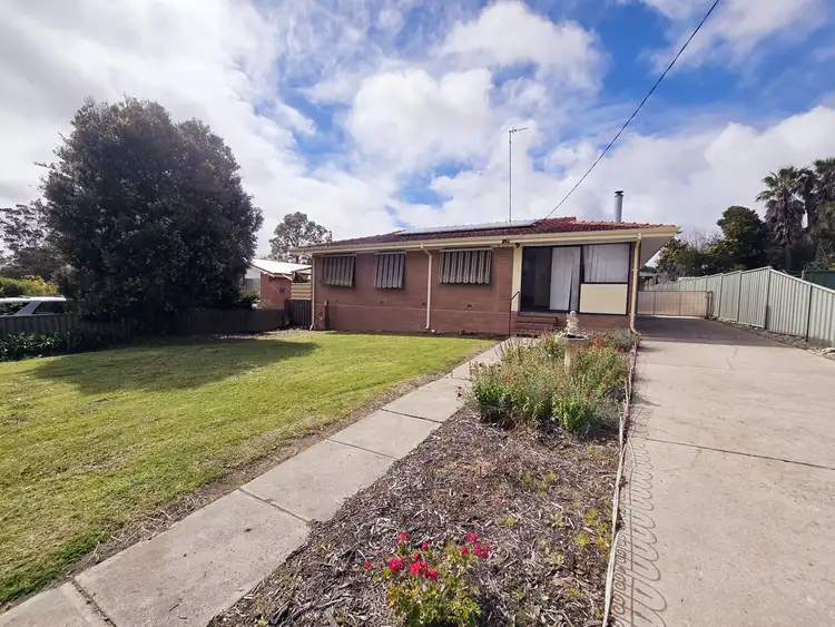 22 Lintott Street, Manjimup WA 6258