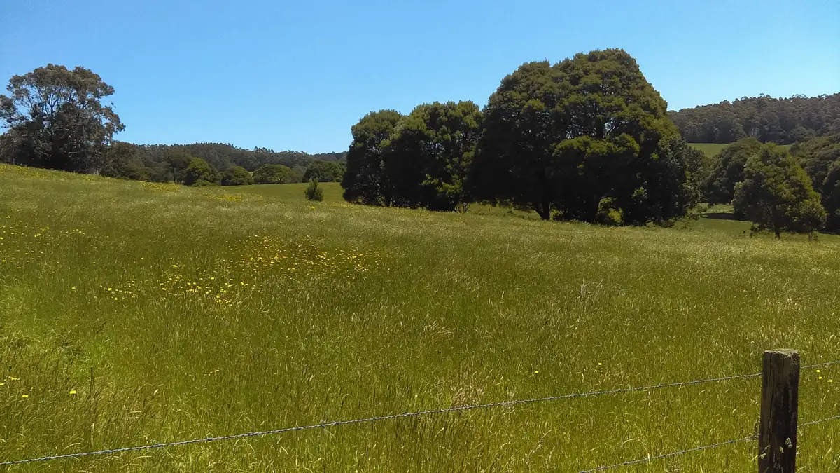 Main view of Homely rural property listing, 215 Old Colac Road, Beech Forest VIC 3237