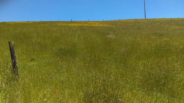 Second view of Homely rural property listing, 215 Old Colac Road, Beech Forest VIC 3237