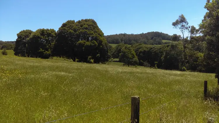 Third view of Homely rural property listing, 215 Old Colac Road, Beech Forest VIC 3237