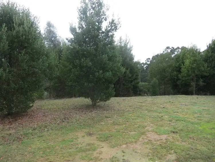 Fourth view of Homely rural property listing, 215 Old Colac Road, Beech Forest VIC 3237