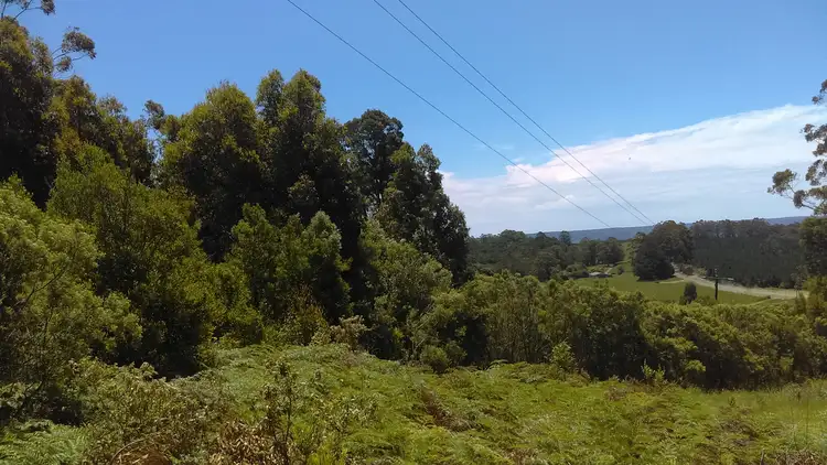 Fifth view of Homely rural property listing, 215 Old Colac Road, Beech Forest VIC 3237