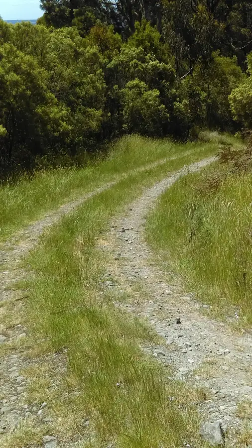 Seventh view of Homely rural property listing, 215 Old Colac Road, Beech Forest VIC 3237